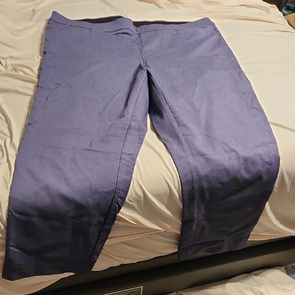 AVENUE Blue Ankle Length Pants Size 22